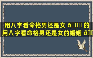 用八字看命格男还是女 🐎 的「用八字看命格男还是女的婚姻 🌳 」